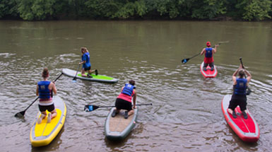 Essentials of Standup Paddleboard - SUP