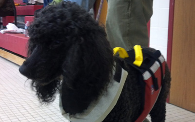K-Sea(dog) supervising the pool demo at Southern CT Small Craft Symposium - 2012