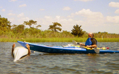 The bow rescue is a quick capsize recovery, no exit required